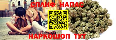 стаф Бузулук