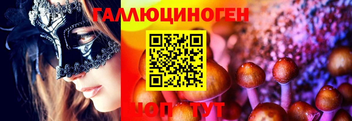 Галлюциногенные грибы Psilocybe Ступино