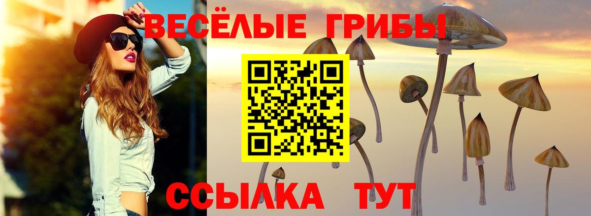 Псилоцибиновые грибы MAGIC MUSHROOMS  Вход с VPN  Галлюциногенные грибы Cubensis  Ступино 